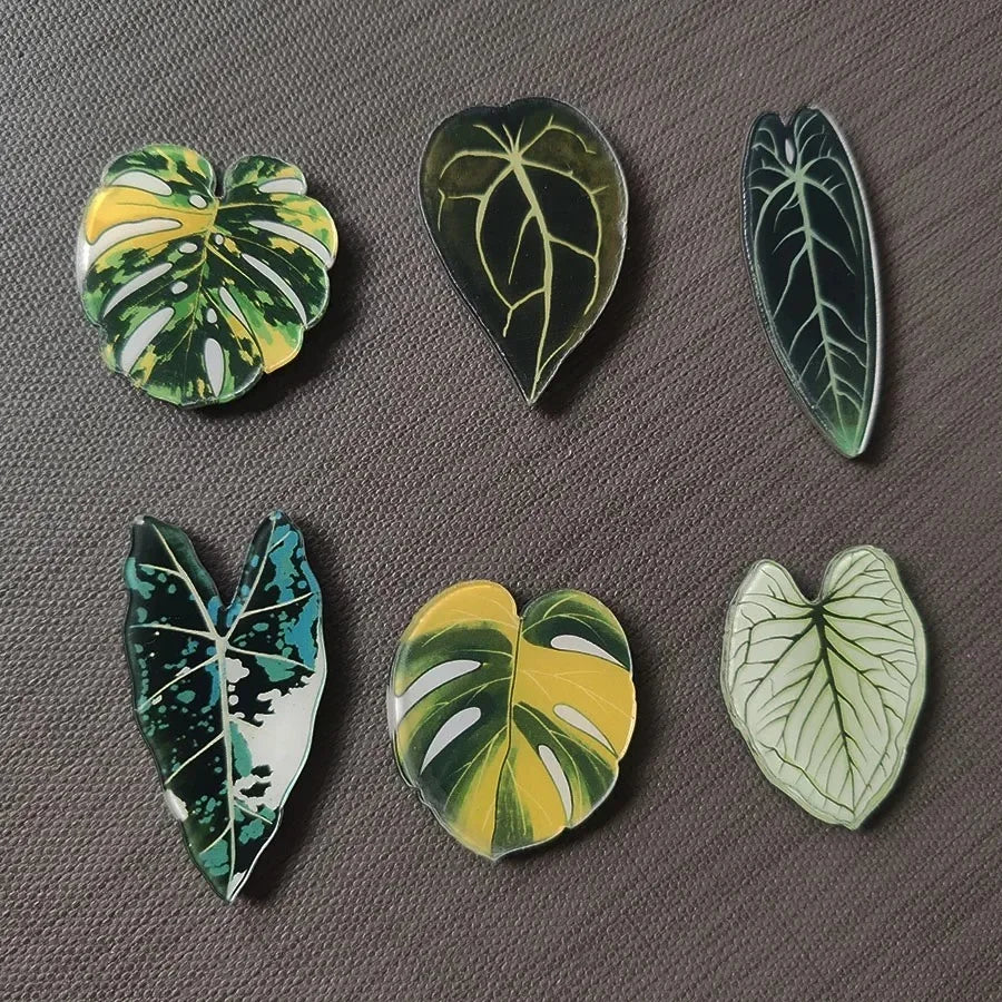 tropical magnet kit