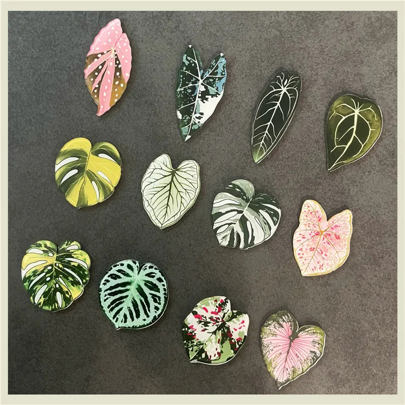 tropical magnet kit