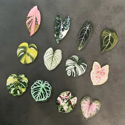tropical magnet kit