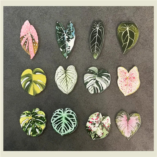 tropical magnet kit