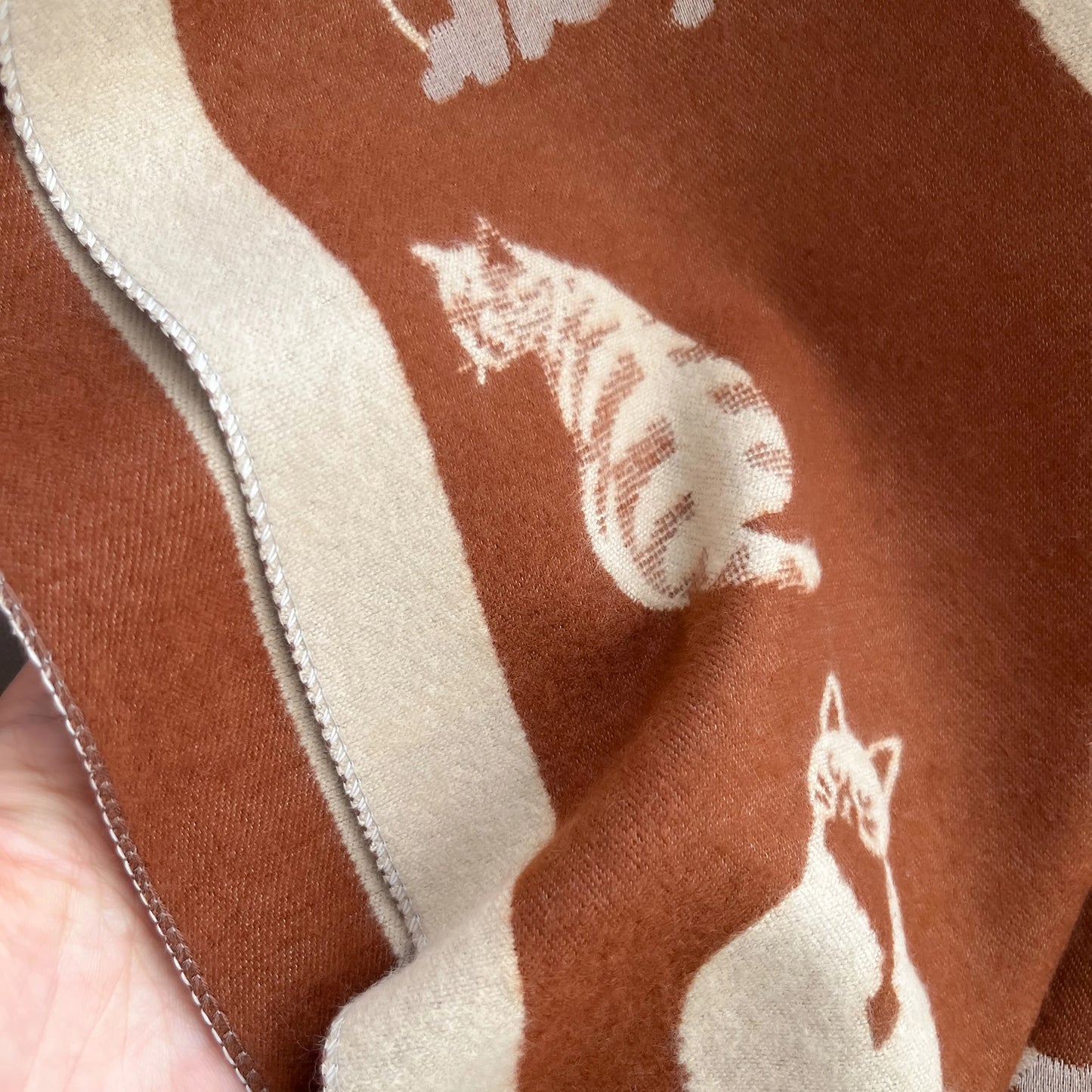 cat nap scarf