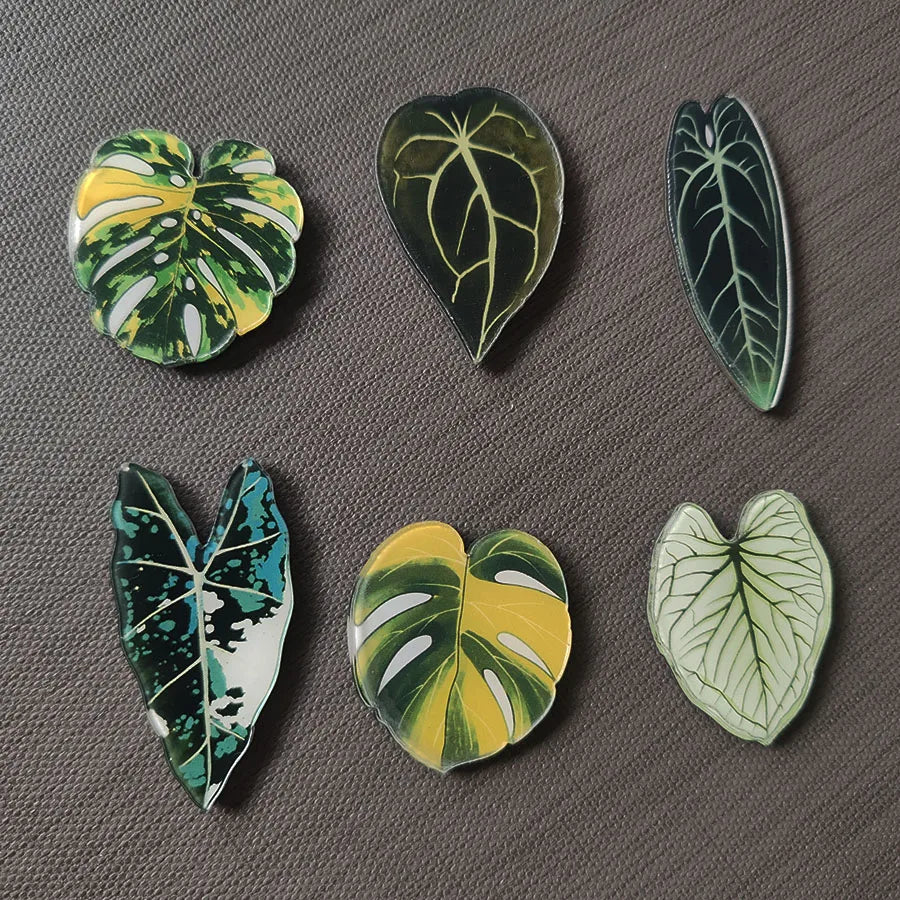 tropical magnet kit