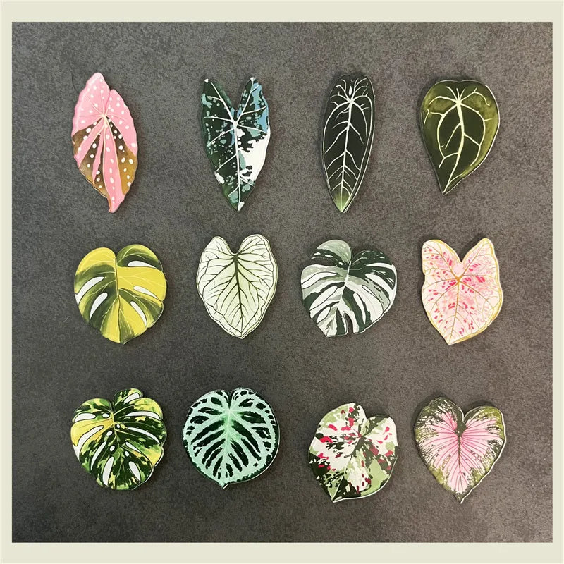tropical magnet kit