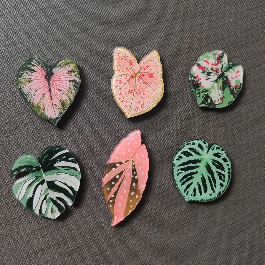 tropical magnet kit